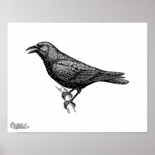 Crow Bird Art Poster