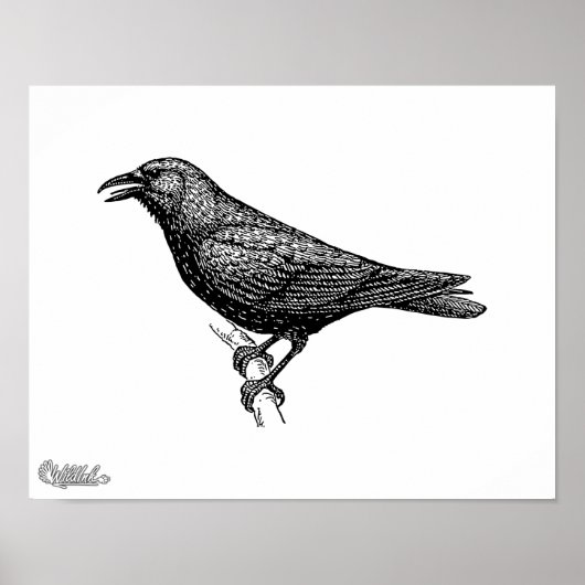 Crow Bird Art Poster (Voorkant)