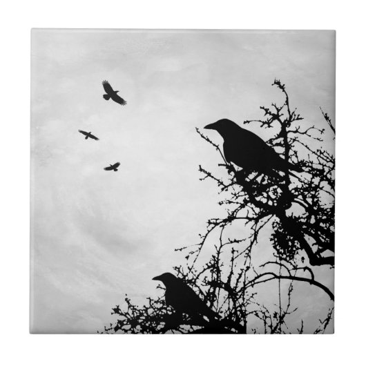 Crow Bird Design 43 Tegeltje (Voorkant)