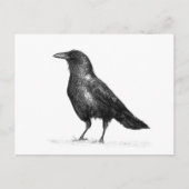 Crow Briefkaart (Voorkant)