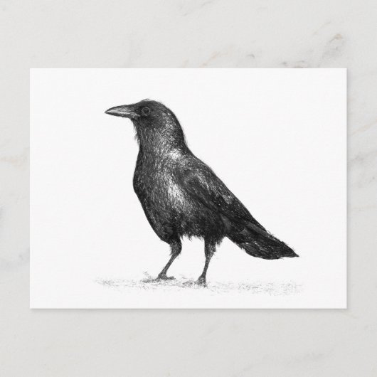 Crow Briefkaart (Voorkant)