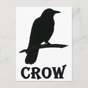 Crow Briefkaart
