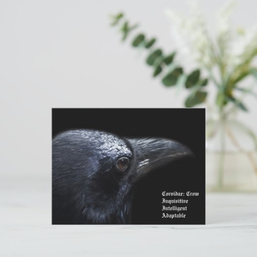 Crow Briefkaart (Staand voorkant)