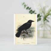 Crow Briefkaart (Staand voorkant)