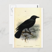 Crow Briefkaart (Voorkant / Achterkant)