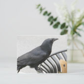 Crow Briefkaart (Staand voorkant)
