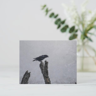 Crow Briefkaart
