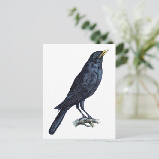 Crow Briefkaart (Staand voorkant)