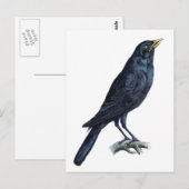 Crow Briefkaart (Voorkant / Achterkant)