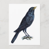 Crow Briefkaart (Voorkant)