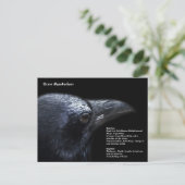 Crow Briefkaart (Staand voorkant)