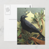 Crow Briefkaart (Voorkant / Achterkant)