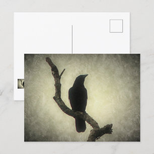 Crow Briefkaart