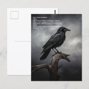 Crow Briefkaart