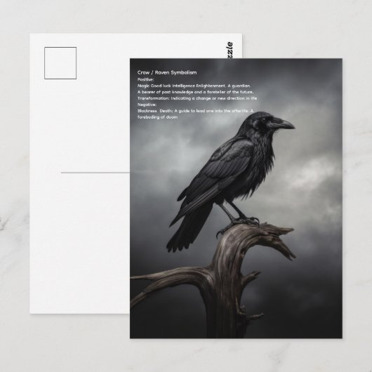 Crow Briefkaart (Voorkant / Achterkant)