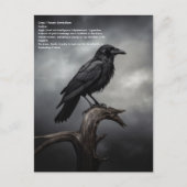 Crow Briefkaart (Voorkant)