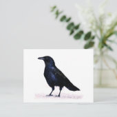 Crow Briefkaart (Staand voorkant)