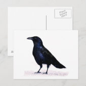 Crow Briefkaart (Voorkant / Achterkant)