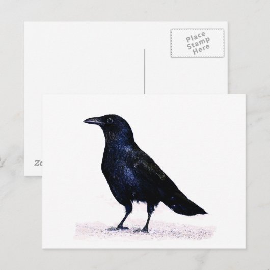 Crow Briefkaart (Voorkant / Achterkant)