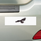 Crow Bumpersticker (Op auto)
