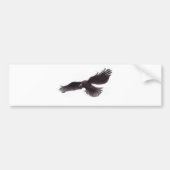 Crow Bumpersticker (Voorkant)