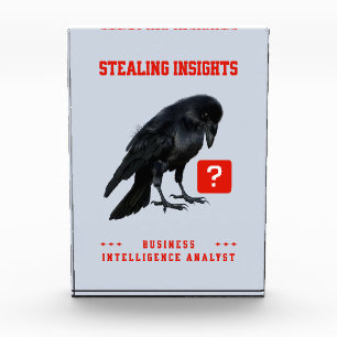 Crow Business Intelligence Analist Fotoblokken