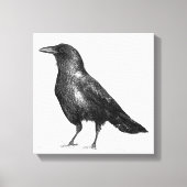 Crow Canvas Afdruk (Voorkant)