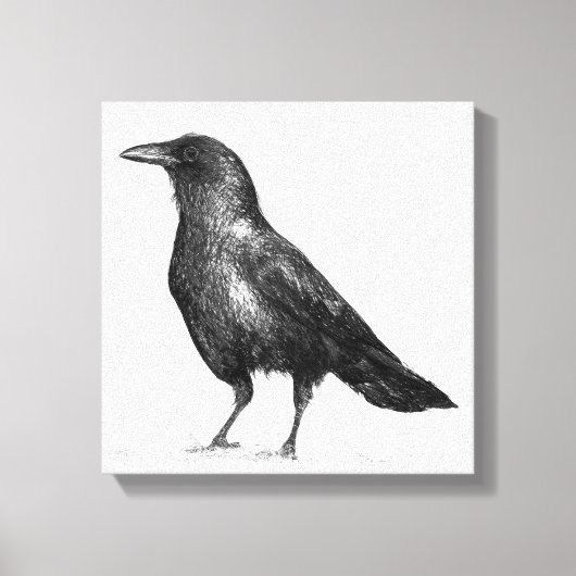Crow Canvas Afdruk (Voorkant)