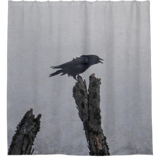 Crow Douchegordijn (Voorkant)