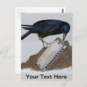 Crow en Harmonica Briefkaart (Voorkant / Achterkant)
