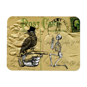 Crow en skelet magneet