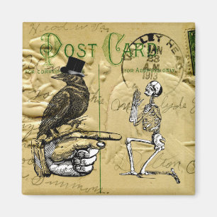 Crow en skelet magneet