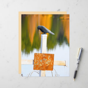 Crow Gothic Autumn Oranje ontkoppeling