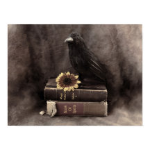 Crow  Gothic Old Books Sunflower