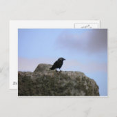 Crow guardian van Stone Henge Briefkaart (Voorkant / Achterkant)
