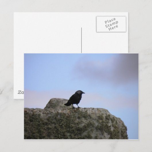 Crow guardian van Stone Henge Briefkaart (Voorkant / Achterkant)
