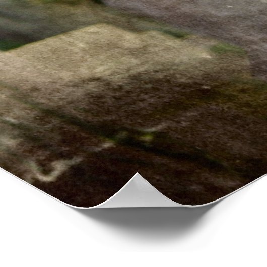 Crow heeft het poster (Hoek)