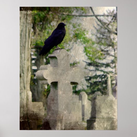 Crow heeft het poster (Voorkant)