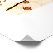 Crow Indian 1880 Poster (Hoek)