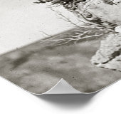 Crow Indians On Cliff, 1905. foto Poster (Hoek)