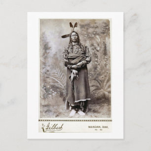 Crow King 1880 Briefkaart