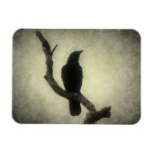 Crow Magneet (Horizontaal)