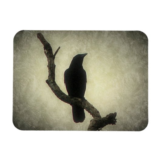 Crow Magneet (Horizontaal)