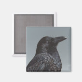 Crow Magneet (Voorkant / Achterkant)