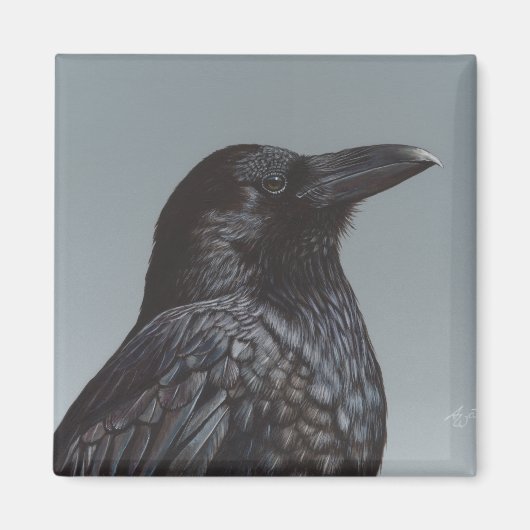 Crow Magneet (Voorkant)