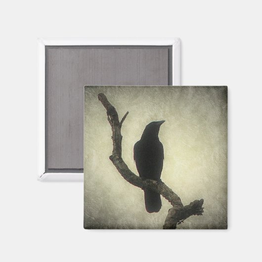 Crow Magneet (Voorkant / Achterkant)