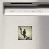 Crow Magneet (Insitu (Vaatwasser))