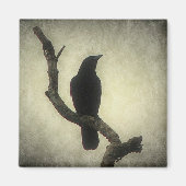Crow Magneet (Voorkant)