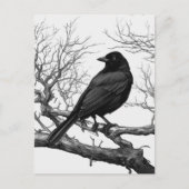 Crow Perched on Bare Winter Branches Briefkaart (Voorkant)