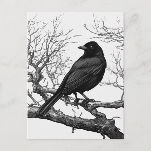Crow Perched on Bare Winter Branches Briefkaart (Voorkant)